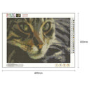 5D DIY Full Drill Diamond Painting Cat Animal Cross Stitch Embroidery Kits