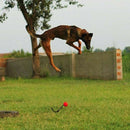 Indestructible Dog Ball on a Rope for Pet Puppy Toys Tug Balls Pet Chew Toys Z