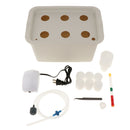 220V 6 Holes Indoor Small Hydroponic System Cabinet Box Home Garden Gray