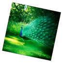 DIY Diamond Painting Embroidery Forest Peacock Bird Cross Stitch Kit Decor
