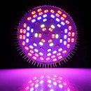 Plant Lamp Growth Light LED Bulb Pro Horticultural Flower Misting Vegetatio
