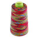 2Pc Colored Polyester Sewing Thread Spools 40s/2 for Clothing DIY Quilting Craft