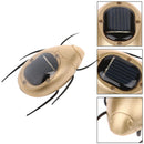Solar Scarab Toys Play Learn Educational Solar Novelty Toys For Children Gif@