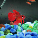 2x Artificial Silicone Soft Glow Effect Realistic