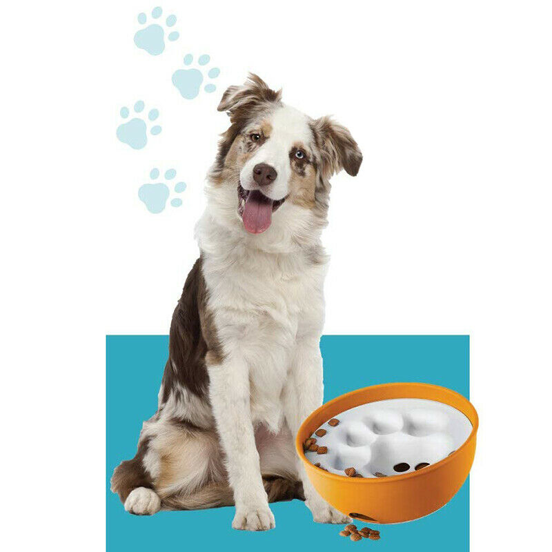 Bowl Puzzle Feeder Dog Bowl - Interactive Enrichment Dog Dish - Slow Feeder