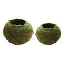 2 Packs 9cm & 18cm Green Moss Ball Decorative Flowers Planters Trays Lanterns