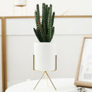 Set Of 3Pcs Ceramic Flower Planters With Iron Shelf Succulent Plant Pot Hom