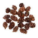 50 Pieces Natural Decorative Pine Cones Pinecone Dried Flowers for Christmas