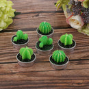 6Pcs Cactus Candle Tea Light Paraffin Home Decor Party Favor Plants Candle
