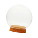 Glass Globe Cover Succulent Plant Flower Container DIY Microlandscape 15cm