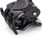 Fashion Women Girls 12pcs Black Plastic Mini Hairpin 6 Claws Hair Clip Clamp  Gw