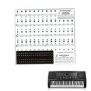 Removable Key Stickers for 37 49 54 61 88 Keys Electronic Keyboard Piano
