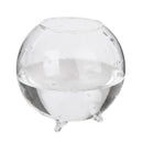 6x Tabletop Glass Flower Planter Vase Terrarium Container Landscape Bottle