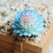 4Pcs/Set Artificial Succulent Plants + White Square Ceramic Pots succulent  F4F8