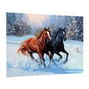 5D Diamond Painting Full Drill Kits Rhinestone Picture Art Decor-30x20cm-Horse