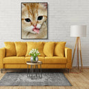 5D DIY Diamond Painting Full Drill Rhinestone Cat Cross Stitch Decor (T341)