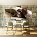 5 Panel  Wall Art Scenic Picture Paint Printed on Canvas Pet Cat