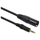 3.5mm (1/8 Inch) Stereo Male to XLR 3-Pin Male Cable, 10 Feet Black L6N2