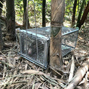 Mouse Rat Trap Cage Live Animal Pest Rodent Mouse Control Bait Catch J7B5