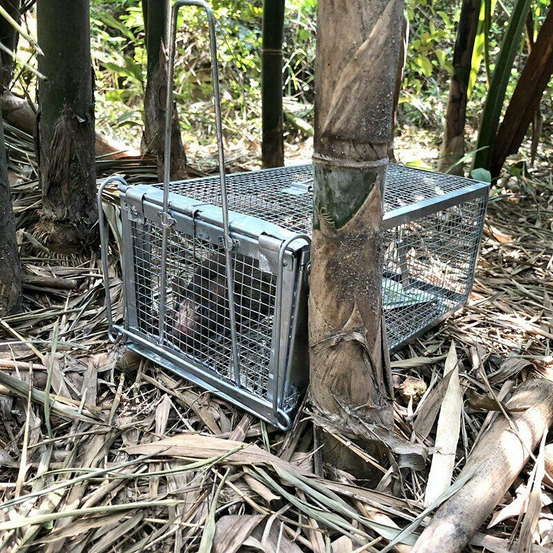 Mouse Rat Trap Cage Live Animal Pest Rodent Mouse Control Bait Catch J7B5