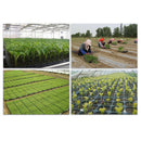 200 Cell Seedling Starter Tray Seed Germination Plant Propagation MO