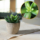 3Pcs Artificial Succulent Potted Plant Small Pots 7/8/14cm Indoor Outdoor Decor