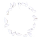 20pcs Mini White Conch Decorations Aquarium Shell Crafts Nautical Decor P ivTEC