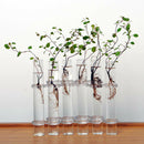 6 Glass Tubes Shape Hanging Hydroponic Flower Plant Vase Terrarium Containe K8R7