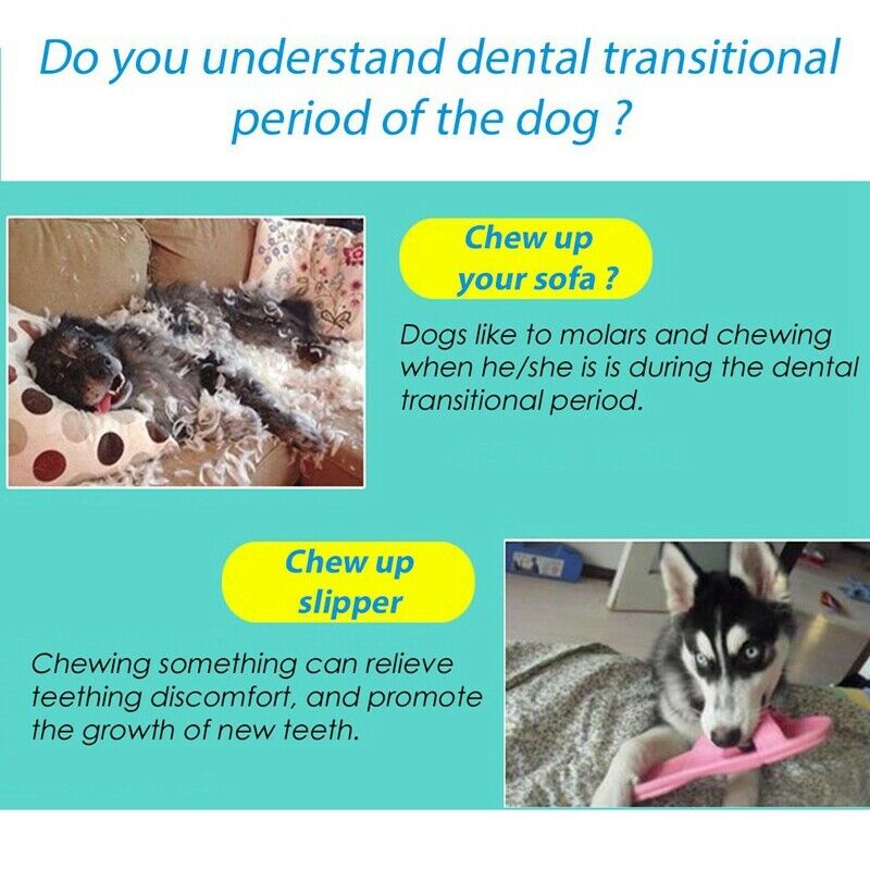 Light Up Dog Balls Flashing Elastic Ball Glow in the Dark Interactive Pet T F9A5