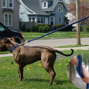 Adjustable Dog Leash Nylon Pet Leash Rope for Large Dogs Soft Dog Set Chain I3O9