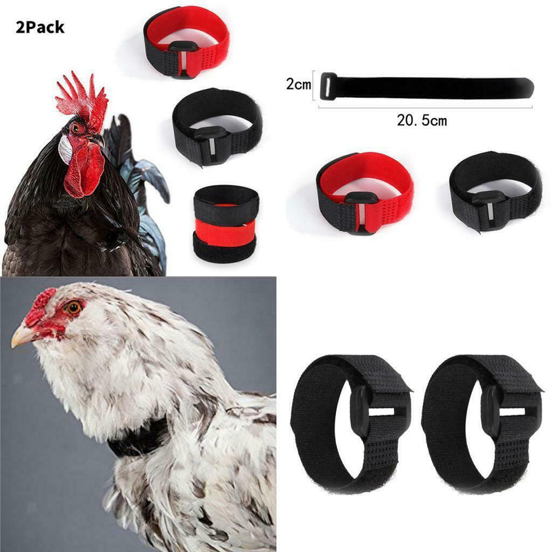 14pcs Rooster Collar Anti Crow Prevent Chicken from Screaming for Duck Black
