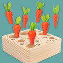 Baby Wood Montessori Toys Carrot Harvest, Magnetic Catching Worm Game, Shape