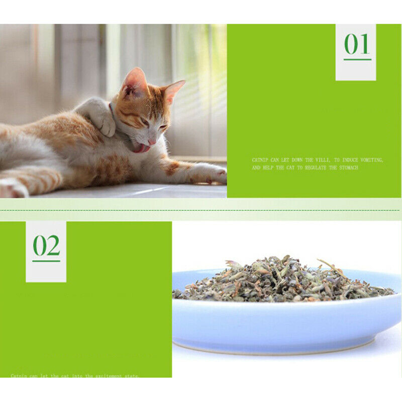 Organic 100% Natural Premium Catnip Cattle Grass 5 Pack Menthol Flavor GiftB Gn