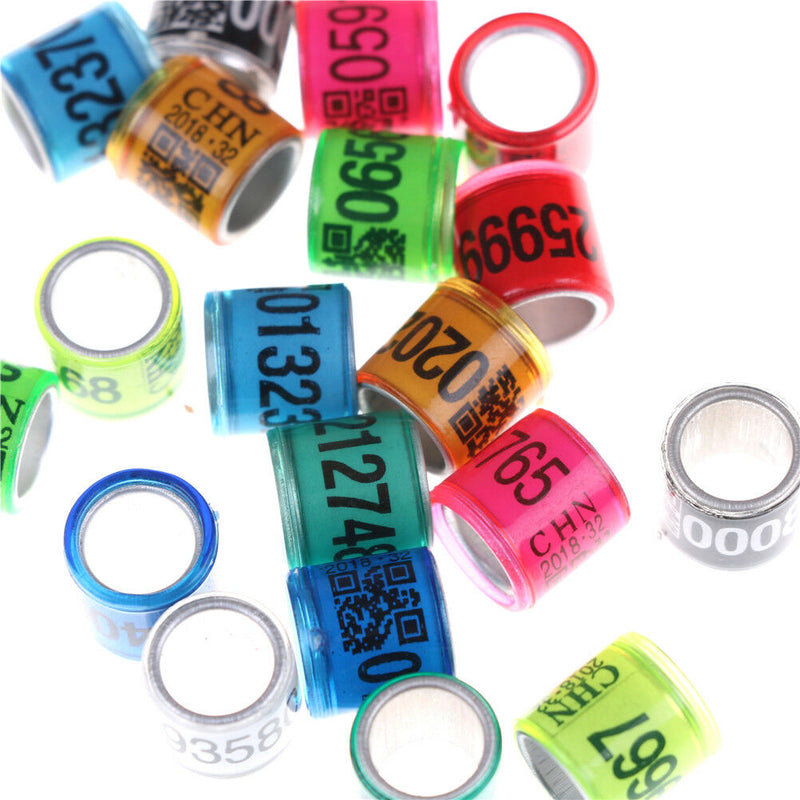 20pcs Pigeon leg Rings Bands Plastic GB Rings Training Supplies Aluminium RingM&