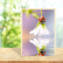 5D DIY Full Drill Diamond Painting Flower Ladybug Embroidery Mosaic Kits