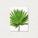 Unframed Modern Art Canvas Oil Painting Palmetto Leaf Print Wall Decor L
