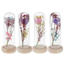 Glass Display Cloche Jar Dome Flower Immortal Preservation Vase Ornament