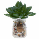Echeveria Lotus Artificial Plants Artificial Succulents House / Office / Ga A9P6