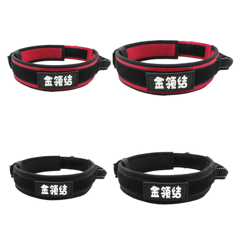 Dog Collar, Feed a Dog Durable Oxford Puppy and Dog Collar with D Ring