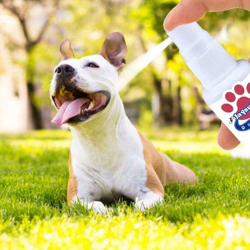 Breath Freshener Spray Pet Dog Teeth Cleaner Dog Cat Oral Healthy Dental Care