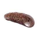10 Pcs Coconut Shell Buttons Sewing Scrapbooking Brown Round 2 Holes 5cm Di I5C3