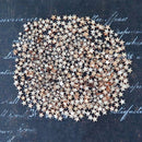 50 PCS Lot Artcuts Mini Mixed Wooden Stars Embellishments for Craft Decor-DIY
