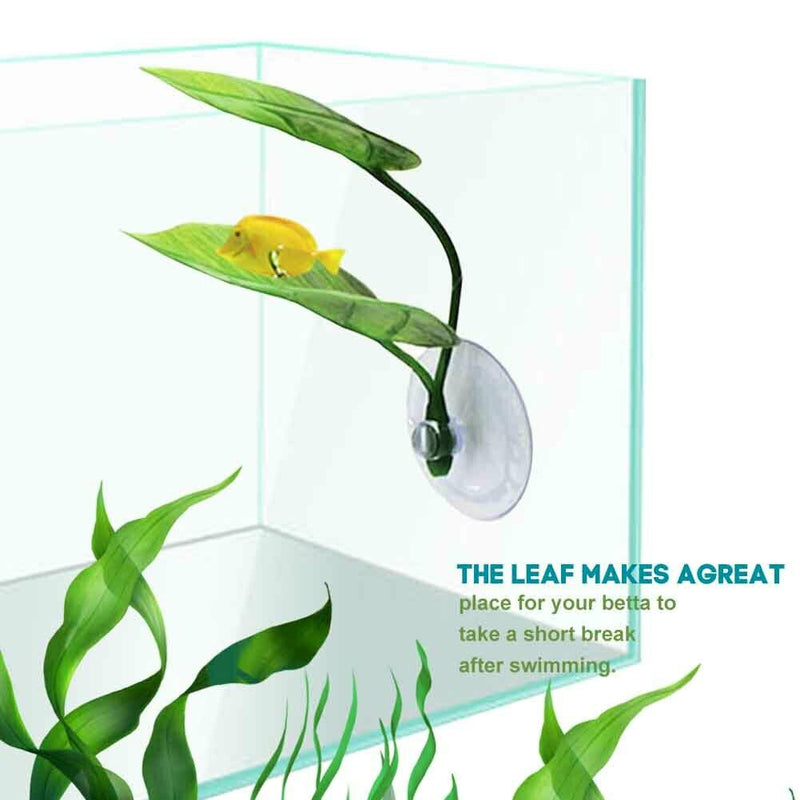 4pcs Betta Fish Leaf Pad Double Layer Hammock Simulation With Suction Cup Tank
