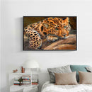 35x25cm 5D Diamond Leopard Painting DIY Cross Stitch Needlework Craft Decor