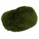 Marimo Ball Cladophora Live Aquarium Plant Fish Tank Betta Sea Triops