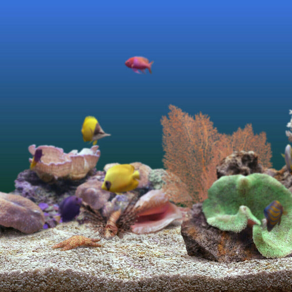 100g Natural Red Green Ghost Quartz Stone Flowerpot Fish Tank Decoration #gib