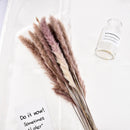 Wholesale 15pcs Natural Dried Pampas Grass Reed Flower Bunch Home Wedding NEW
