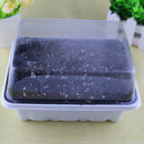 3pcs 12 Holes Plastic Tray Flower Seedling Sprout Box Propagation Nurse EGW