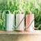 Plastic Garden Succulent Watering Pot Stainless Steel Long Mouth Flowers Pl
