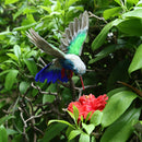 Artificial Feather Flying Birds for Garden Decor Home Yard Patio Ornament